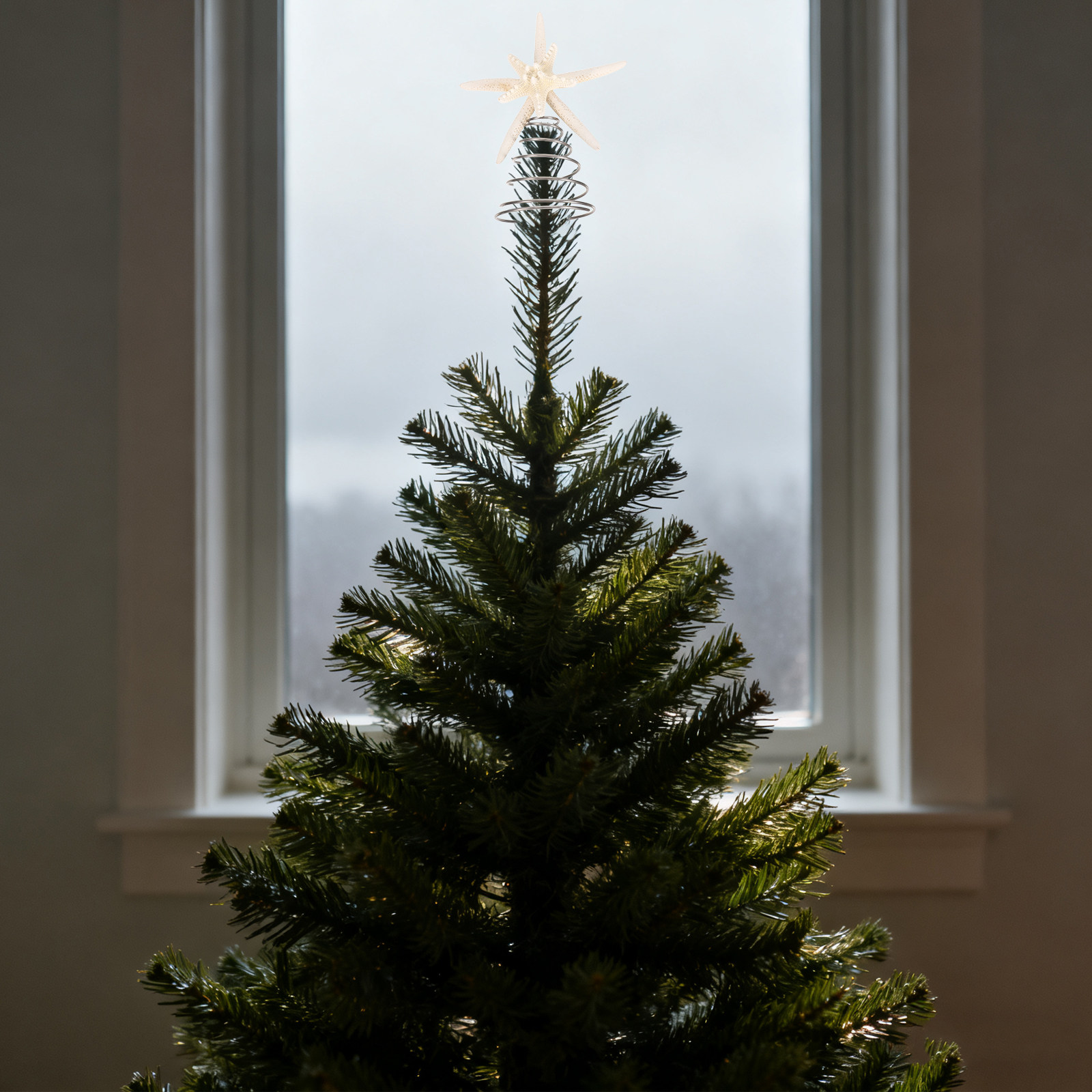 Star Tree Topper - Enfeite de Árvore de Natal Costeiro,